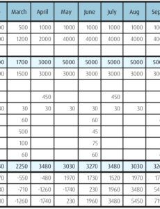 Free  Project Management Cash Flow Template Excel Sample