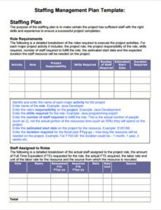 Blank Staff Augmentation Proposal Template Doc