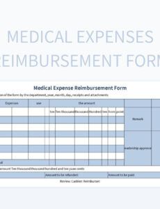 Free Blank Medical Expense Spreadsheet Template Pdf