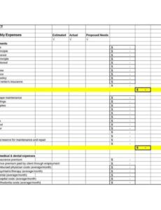 Medical Expense Spreadsheet Template Word Sample