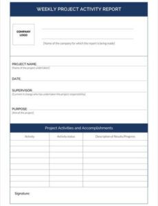 daily activity report format project activity list template pdf