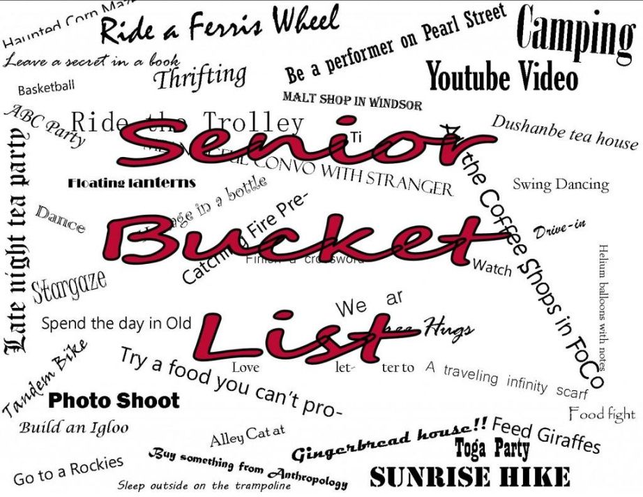 senior bucket list introduction  etched in stone senior bucket list template pdf